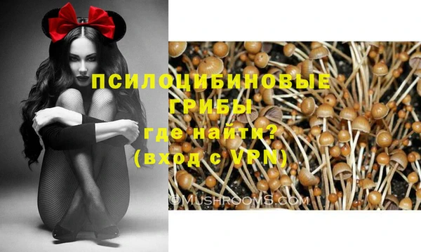 apvp Киреевск