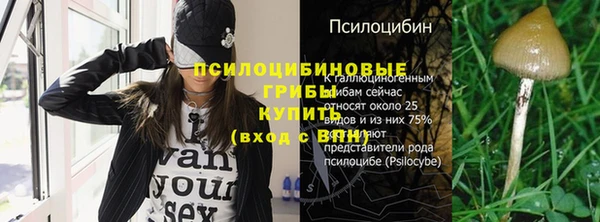 apvp Киреевск